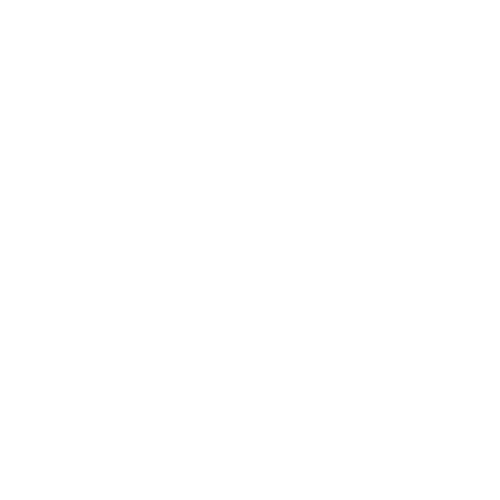 custom icon
